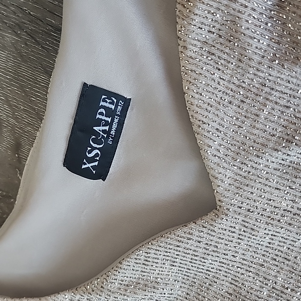 Y2K Xscape by Lawrence Kurtz Elegant Beige Shimmery Sleeveless Dress & Jacket - Picture 6 of 14